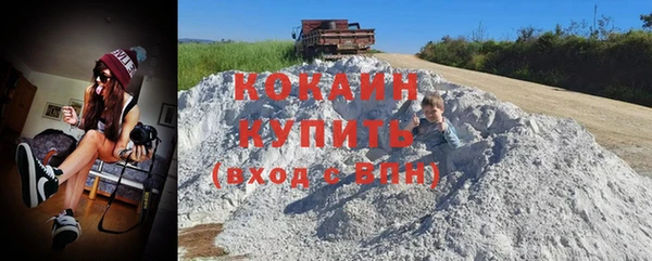 стаф Белокуриха