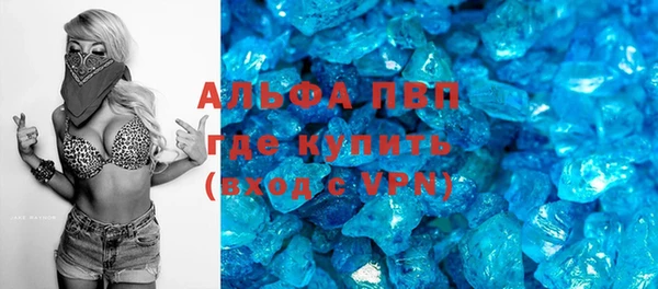 стаф Белокуриха